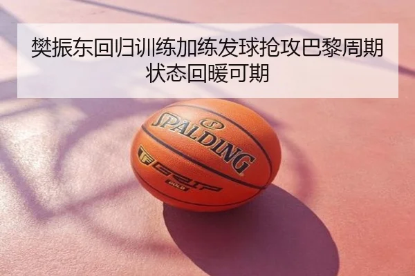 樊振东回归训练加练发球抢攻巴黎周期状态回暖可期